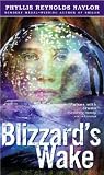 Blizzards Wake