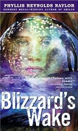 Blizzard's Wake
