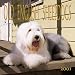 Old English Sheepdogs 2001 Calendar