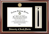 University of South Florida Bulls - Gold Medallion - Tassel Box - Mahogany - Diploma Frame