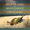 The Proper Care and Maintenance of Friendship