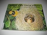 Birds and their nests