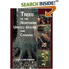 Trees of the Northern United States and Canada