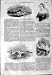 1844 �Υ��ꥹ�ƥ����ʥ��ڥ��� Carthagena Campeachy �ޥ����������