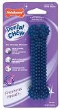 Regular Size Dental Bone