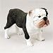 New! Stone Resin Realistic Brindle Bulldog Dog Figurine