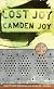 Lost Joy