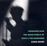 Turquoise Days: The Weird World of Echo & the Bunnymen