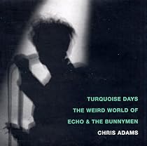 Turquoise Days: The Weird World of Echo and The Bunnymen: The Weird World of "Echo and the Bunnymen"