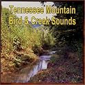 Tennessee Mountain Bird & Creek Sounds