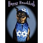Pet Star Hanukkah Cards - Miniature Pinscher by  Pet Star Photography