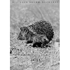Igel