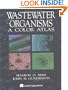 Wastewater Organisms A Color Atlas