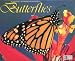 Butterflies 2004 Calendar