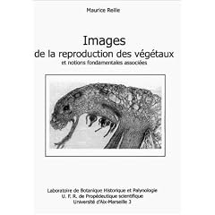 Images de la reproduction des v�g�taux et notions fondamentales associ�es.