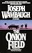 The Onion Field