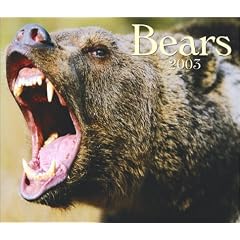 Bears 2003
