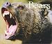 Book Bears 2003