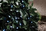Kitchen & Housewares : Micromark, Solar Powered Light String with 20 LED's
