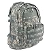 Sandpiper of California Three Day Pass Backpack