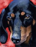 Dachshund Dog Art Print Signed by Artist DJ Rogers
