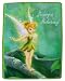 Tinkerbell Disney Mint Green Plush Mink Twin Blanket--Seeing Is Believing