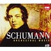 Schumann - 200th Anniversary Box - Orchestral