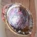 Large Rainbow Abalone Seashell