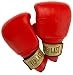 Sports : Everlast Sandsackhandschuh 1801 Leather Pro Bag Gloves "Boston"