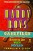 Search : The HARDY BOYS CASEFILES COLLECTOR'S EDITION: (BEYOND THE LAW/SPIKED!/OPEN SEASON)