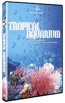 Mind Body Spirit Tropical Aqua