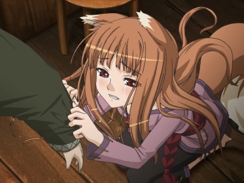 狼と香辛料 ボクとホロの一年(通常版)(特典無し)
