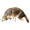 Bird-X COYOTE 3-D 3-D Coyote Replica