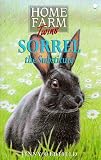 Sorrel the Substitute (Home Farm Twins)