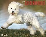 Just Goldendoodles 2009 Calendar (Just)