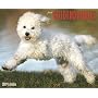 Just Goldendoodles 2009 Calendar