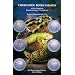 Reptile Books for Beginners