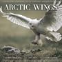 Arctic Wings: Birds of the Arctic National Wildlife Refuge with CD (Audio)