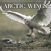 Arctic Wings: Birds of the Arctic National Wildlife Refuge with CD (Audio)