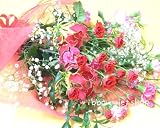 �y���������z�y�M�t�g�E���蕨�Ɂz�v���[���g�� �O�����I�T�ƃJ�[�l�[�V�����̉ԑ��i���ԁjFL-MD-906