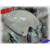 特大　牡蠣２L-1kg　広島産