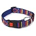 Guardian Gear Mohave Collar 10-16 In Blue
