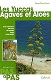 Les Yuccas Agaves et Aloès : Une ambiance de bout du monde dans votre jardin
