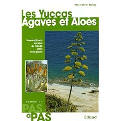 Les Yuccas Agaves et Alo�s : Une ambiance de bout du monde dans votre jardin