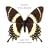 Decade of Dreams 95-05 (Digip)