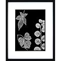 Leave on Black A Wall Art - 16x20"