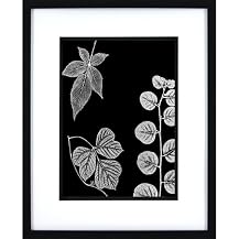 Leave on Black A Wall Art - 16x20"
