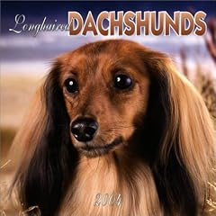 Longhaired Dachshund Wall Calendar: 2004