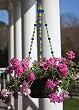 Purple, Green, and Blue Beaded Flower Pot Hanger