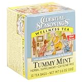 Celestial Seasonings Wellness Tea Tummy Mint, Tea Bags, 0.6-Ounce 10-Count Box(Pack of 10)